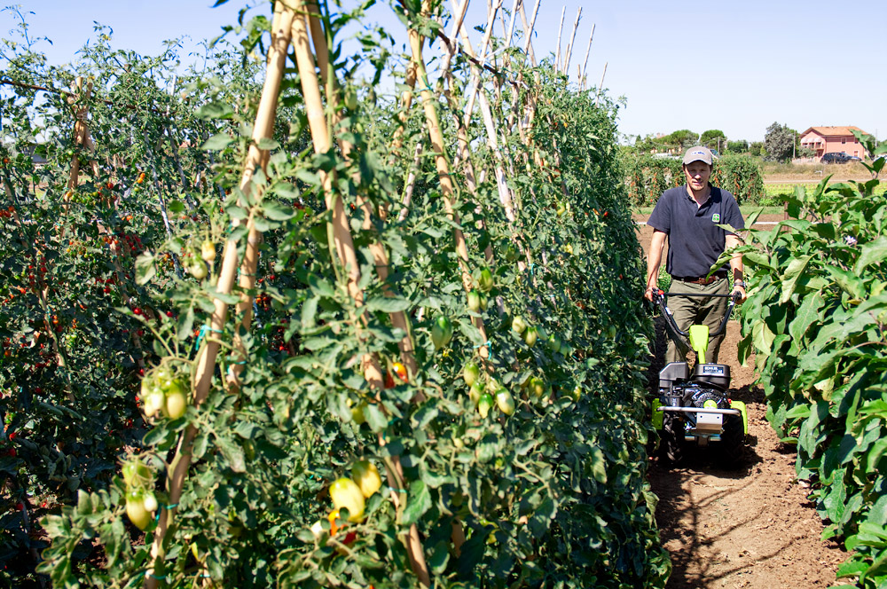 Grillo G 52 в роботі — обробка ґрунту Grillo G 52 в роботі — обробка ґрунту