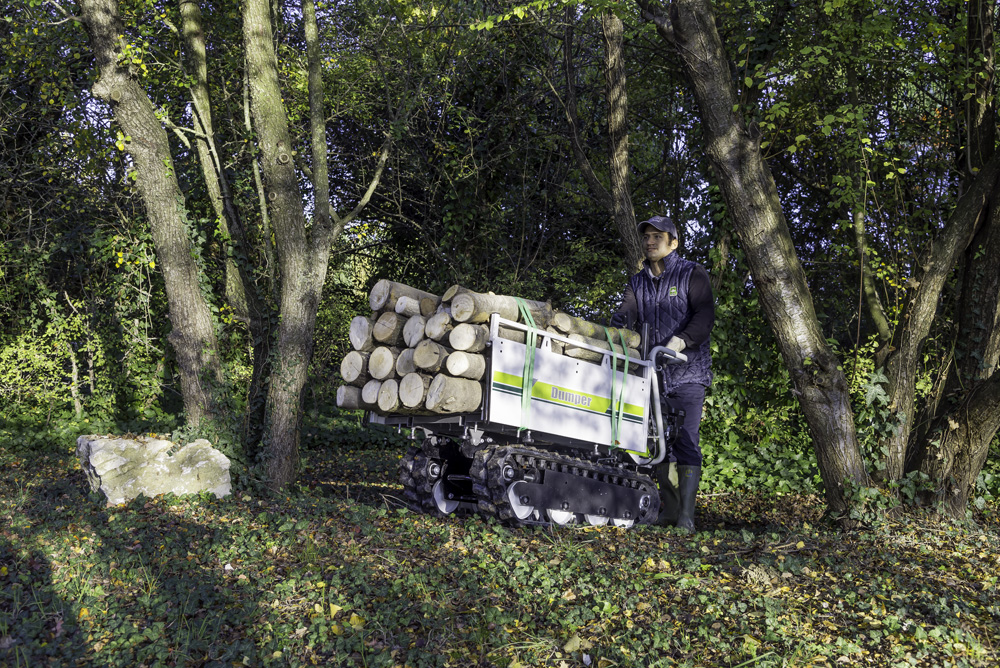 action-1620 Grillo Dumper 406 транспортування деревини