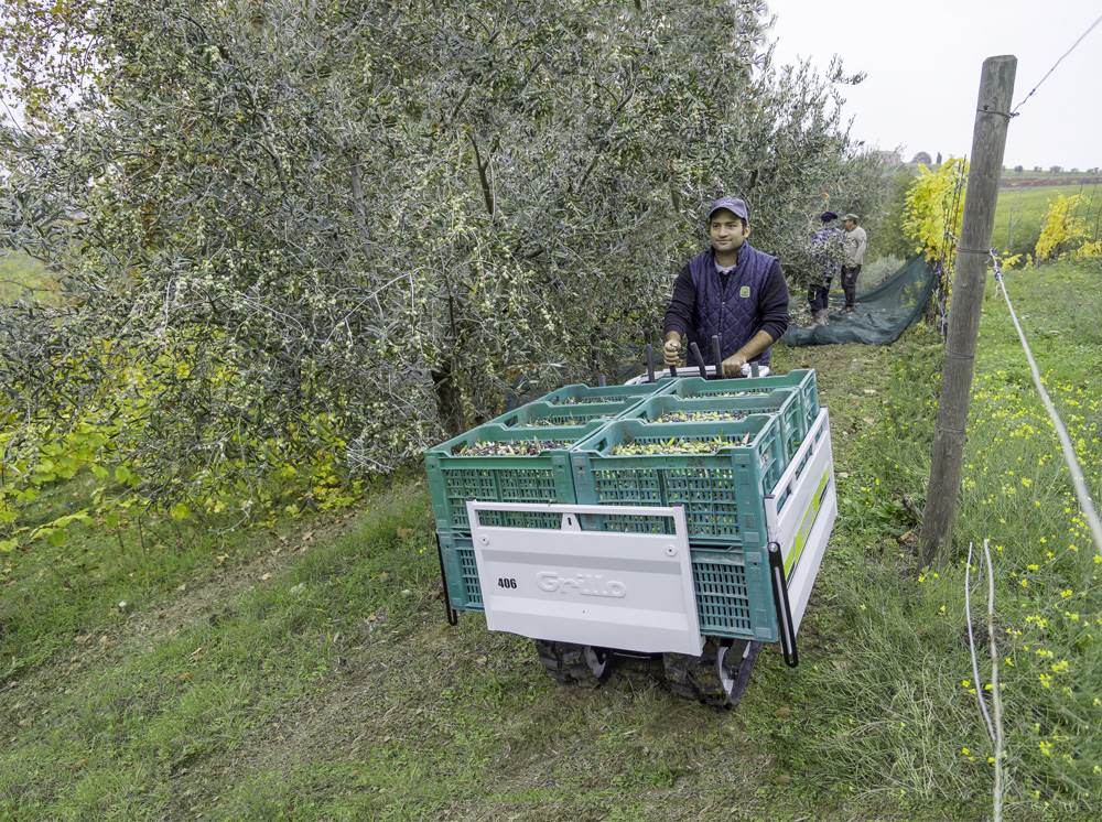 action-1621 Grillo Dumper 406 у роботі