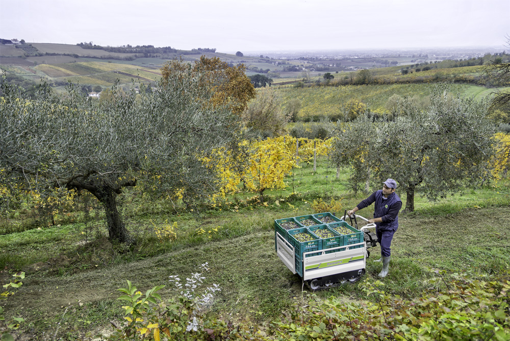 action-1622 Grillo Dumper 406 робота