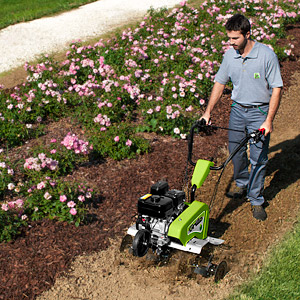 Grillo Princess MP3 - робота з трояндами